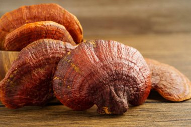 Lingzhi ya da kapsüllü Reishi mantarı, organik ve sağlıklı yiyecekler..