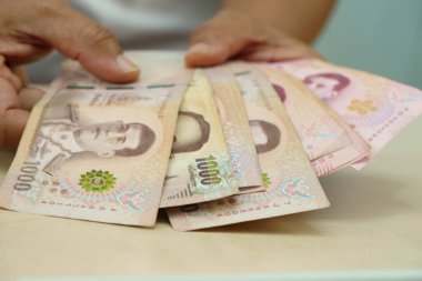 Tayland baht banknotlarını sayan Asyalı bir kadın, elinde para, yatırım ekonomisi, muhasebe ve bankacılık.