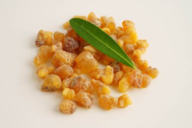 Tütsü veya olibanum aromatik reçine tütsü ve parfümlerde kullanılır..