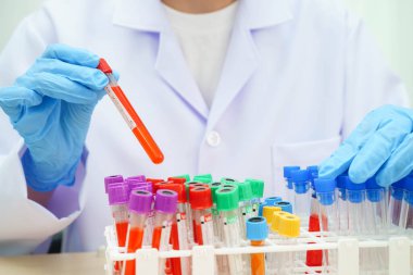 Bilim laboratuarında araştırma yapmak için tıbbi profesyonel test tüpü kullanılıyor..