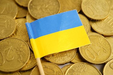 Para ve banknot üzerinde Ukrayna bayrağı, yatırım ticareti para birimi kavramını finanse ediyor.