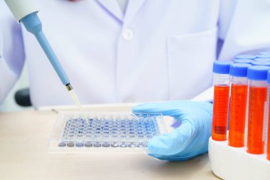 Hücre kültürü ile bilim laboratuarında araştırma yapmak için örnek mikro plaka kullanan bilim adamı..