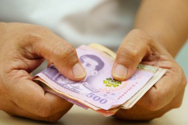 Tayland baht banknotlarını sayan Asyalı bir kadın, elinde para, yatırım ekonomisi, muhasebe ve bankacılık.