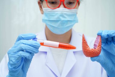 Doktor tiroid bezi modeli ve kan örneği tüpünü laboratuarda tutuyor..