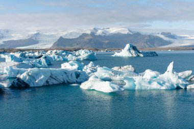 Buzdağlarının buzul gölünde yüzüşünün nefes kesici görüntüsü. Arka planda karla kaplı dağlar dik duruyor..