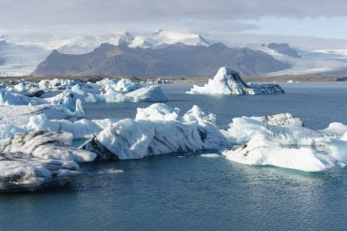 Karla kaplı bir dağ sırasının altında buzdağlarıyla dolu bir buzul gölü. Soğuk iklim.