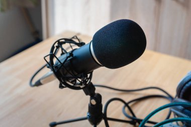Mikrofon - bir ev stüdyosunda profesyonel bir mikrofon Podcast, müzik üretimi, ses üzerinde, kayıt için