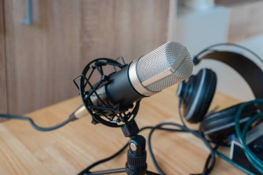 Mikrofon - bir ev stüdyosunda profesyonel bir mikrofon Podcast, müzik üretimi, ses üzerinde, kayıt için