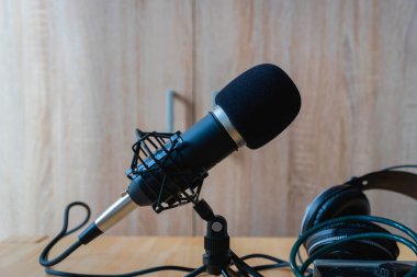 Mikrofon - bir ev stüdyosunda profesyonel bir mikrofon Podcast, müzik üretimi, ses üzerinde, kayıt için