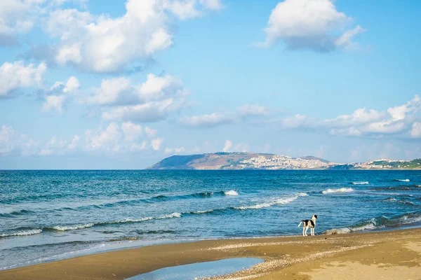 トルコの黒海のビーチの風景 トルコ ソップの黒海の美しいビーチ — ストック写真