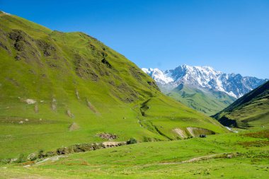 Gürcistan 'ın Yukarı Svaneti bölgesindeki Ushguli köyünün kırsal kesiminde, dağ yürüyüşü ve fotokopi alanı ile yürüyüş için ideal dağlık arazi.