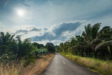 Motosiklet, motosiklet ve tropikal adalarda verimli yeşil tropikal bitki örtüsüyle kaplı asfalt yollu bisiklet için dramatik macera manzarası. Yolculuk için dramatik macera manzarası.