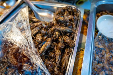 Kızarmış cırcır böcekleri, yenilebilir böcekler ve Tayland pazarında seçici odaklı yakın çekim. Gıda güvenliği, et alternatif kavramı