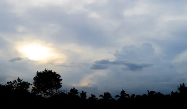 Silhouette tropicale di cocco con drammatico sfondo cielo . — Foto Stock