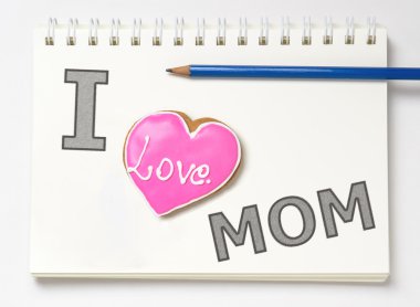 Bir not defteri annemi seviyorum