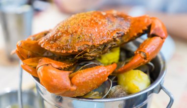 Pişmiş haşlanmış dev Yengeç kova. 