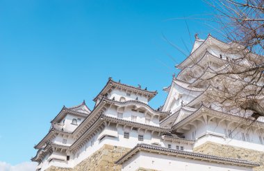 Kış mavi gökyüzünde Himeji Kalesi