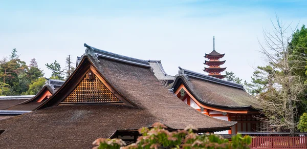 厳島神社五重塔 — ストック写真