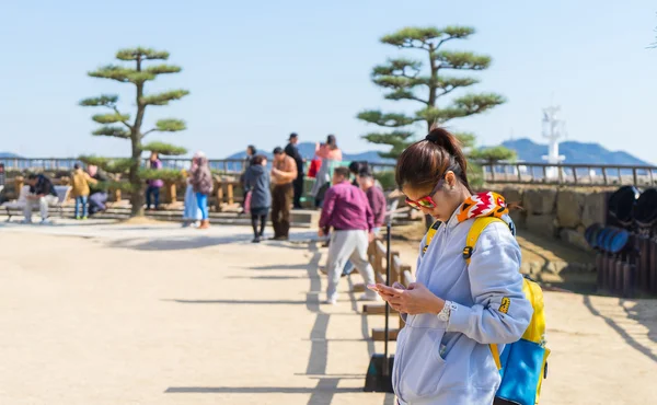 Los turistas están tomando fotos del castillo de Himeji desde el Jardín . —  Fotos de Stock