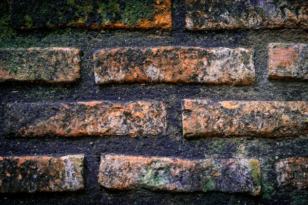 Mur z cegły objętych roślin mchem i bluszcz — Zdjęcie stockowe