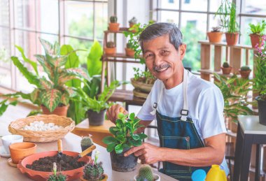 Gülümseyen bahçıvan fabrikadaki küçük işletmesi için ev bitkisi atölyesinde çalışıyor..