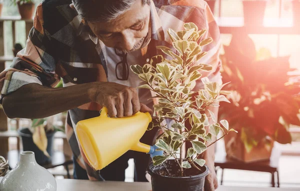 Senior Aziatische Man Water Geven Kamerplant Zijn Huis Tuinieren Kleine — Stockfoto