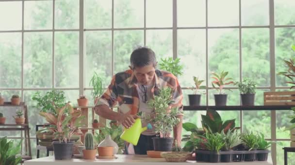 Senior Asiático Hombre Riego Casa Planta Jardinería Casa Vidrio Taller — Vídeo de stock