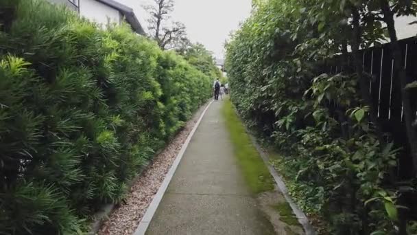 Caminhando Pelo Beco Jardim Zen Japonês Com Pinheiros Ambos Lados — Vídeo de Stock