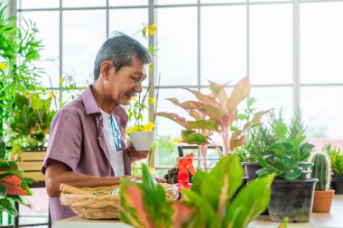 Kıdemli Asyalı adam evdeki çiçek bahçesinde gazete okurken sabah kahvesi içiyor..