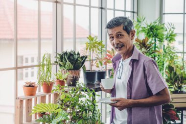 Kıdemli Asyalı adam evindeki bahçe bahçesinde sabah kahvesini içiyor..