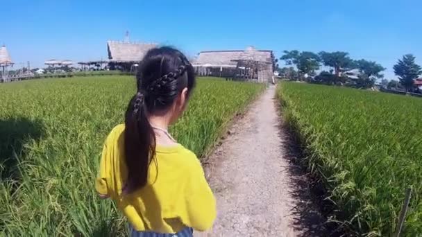 Tayland Çeltik Tarlalarındaki Çiftlik Evinde Küçük Bir Kız Yürüyor — Stok video