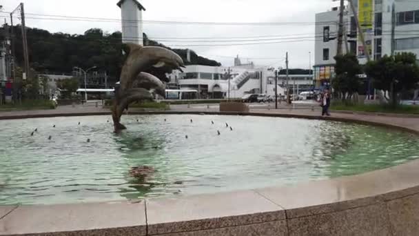 Toba Japan September 2019 Die Delfinstatue Hafen Der Insel Toba — Stockvideo