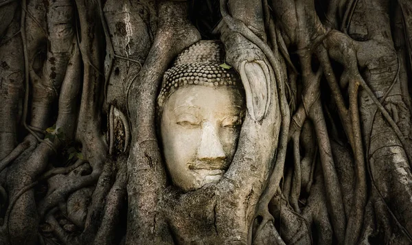 Het Beroemde Boeddha Hoofd Oeroude Boom Wortel Ayutthaya Thailamd — Stockfoto