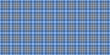 Serin mavi ve gri renkli klasik ekose desenli. Arkaplan, tekstil ya da tasarımlara zamansız stil katmak için ideal. Çok yönlü ve göz alıcı..