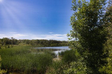 Ormandaki yaz gölü. Göl yazın bir göldür.