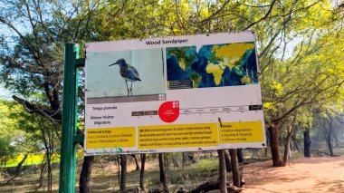 Kışın Sultanpur Kuş Yüzyılı 'na göç eden bir kuş hakkında bilgi içeren tabela
