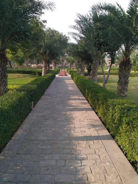 Ajmer, Rajasthan, Hindistan 'da Subhash Udyan olarak da bilinen Daulat bagh manzarası