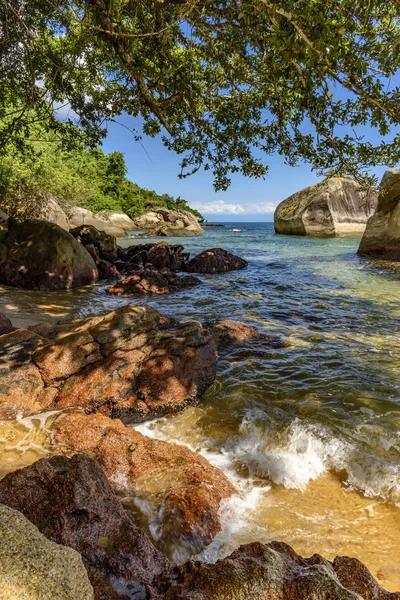 Incontrare il mare con la foresta — Foto Stock