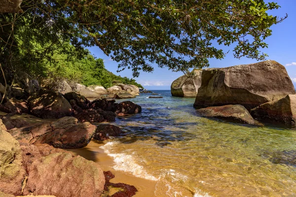 Incontro tra vegetazione e mare — Foto Stock