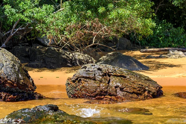 Ontmoeting tussen het regenwoud en de zee — Stockfoto