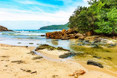 Rio de Janeiro eyaletinin güneyindeki Trindade sahilindeki deniz, kayalar ve yağmur ormanları arasında akan nehir.