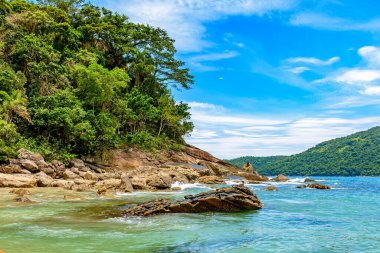 Brezilya 'nın Rio de Janeiro eyaletinin güney kıyısındaki Trindade' de korunmuş tropikal ormanla mavi deniz arasındaki karşılaşma.
