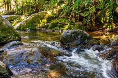 Brezilya 'nın Rio de Janeiro eyaletindeki Itatiaia bölgesindeki tropikal ormanların arasında küçük çağlayan ve nehir.