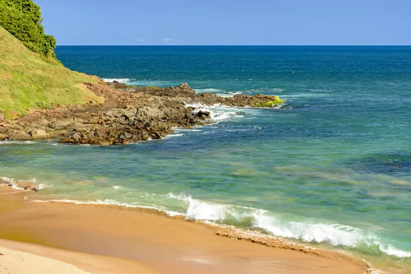 Elhagyott Trópusi Strand Gyönyörű Tiszta Vizekkel Salvador Város Bahia — Stock Fotó