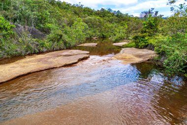 Minas Gerais 'deki Ouro Preto şehrinin dışındaki ormandan akan sakin bir nehir..