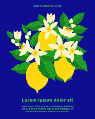 Illustration of a botanical background featuring lemon fruits, leaves, and flowers, with a space for text. Perfect for invitations, cards, banners, brochures, posters, covers, and other designs.