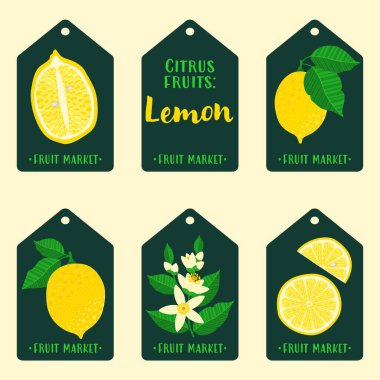 Düz vektör tarzında limon meyve pazarı etiketleri. Koyu yeşil etiketlerde bütün limonlar, dilimler ve çiçekler var. Organik ürün ambalajlama, hediye etiketleri ya da eko-gıda markası tasarımı için mükemmel..