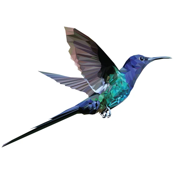 Hummingbird colorato a basso poli — Vettoriale Stock