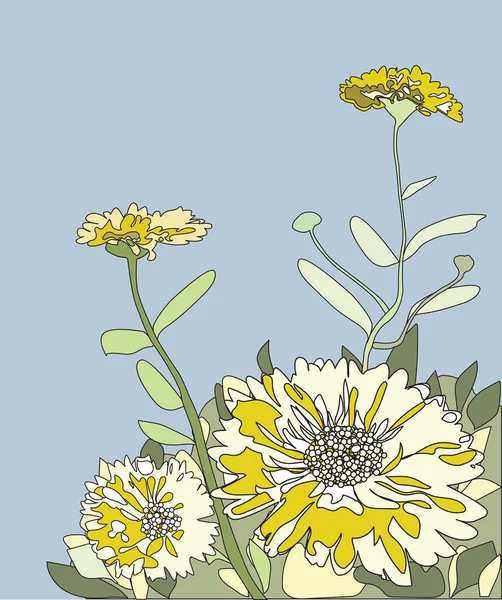 Векторная иллюстрация цветов Мэриголд — стоковый вектор