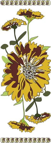 Векторная иллюстрация цветов Мэриголд — стоковый вектор